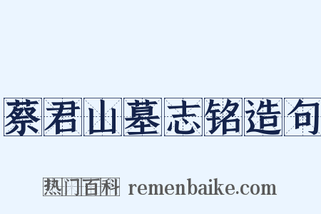 蔡君山墓志铭造句是什么意思的图片